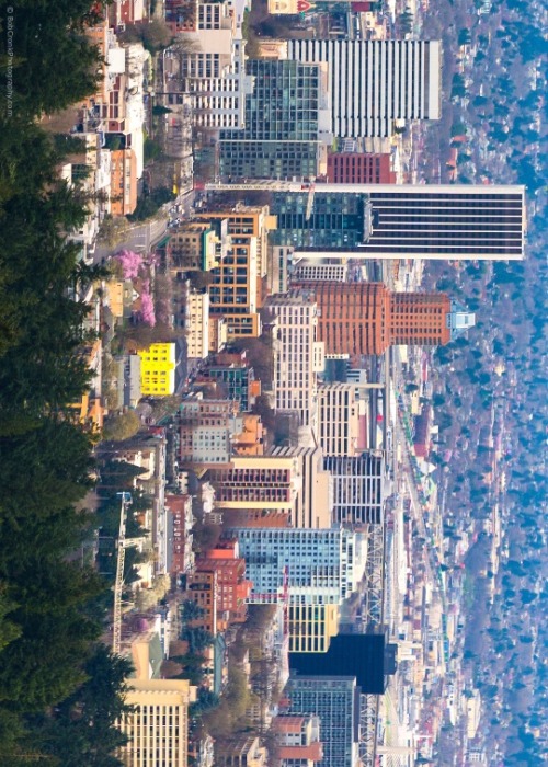 bobcronkphotography:  This Is Downtown Portland  I love living here