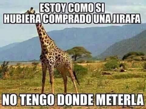 FUTUBANDERA ¡ES LA LUUUZ!