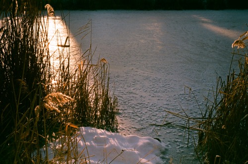 Sunny Winter Days Captured On Film