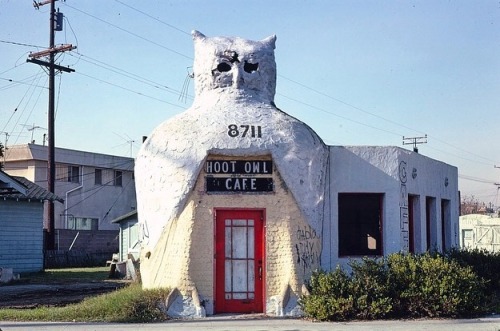 John Margolies photographed the eccentric roadside architecture and ephemera of America.