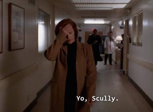 falsedetective:mulder no