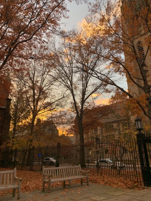 Amber Leaves In A Gentle Dance, As Autumn Whispers Its Fleeting Romance.