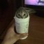 space1cat