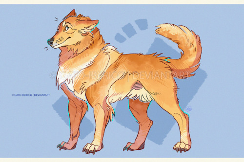 A set of cartoony dog commissions for whattawiseguy on DA! - © Art | gato-iberico.deviantart.co