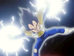 Tenkaichi Budokai
