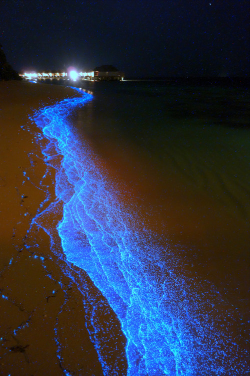 Will Ho (Taiwanese, Kaohsiung, Taiwan) - Maldives‎ Blue Sand (Bioluminescent Microorganisms), 2013  