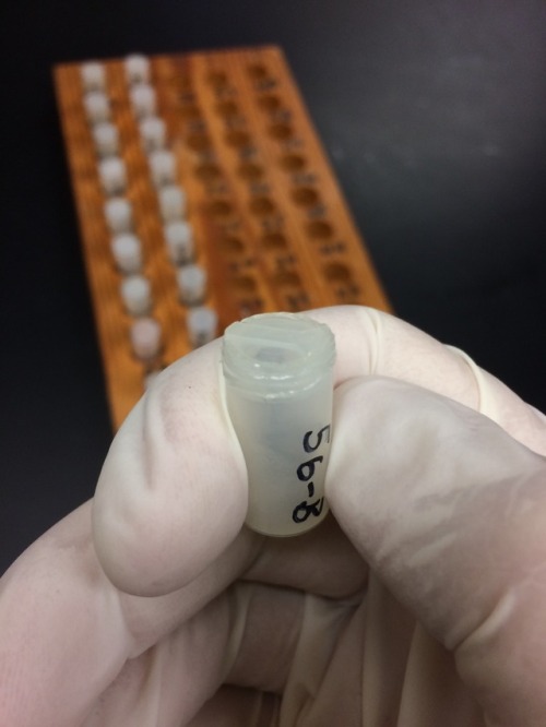 Neutron Activation Analysis sample preparation, including preparing analytical controls and sealing 