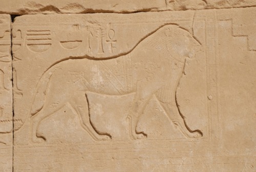 Lion carving, Karnak, Luxor.