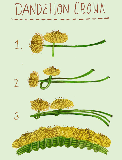 madisonsaferillustration: Dandelion crowns are such a nostalgic ware for so many folks! Remember to 