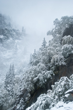 0rient-express:  Switzerland - Lauterbrunnen Valley | by Didier Baertschiger.