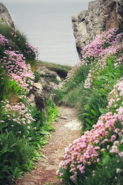 expressions-of-nature:Newquay, United Kingdom by George Hiles