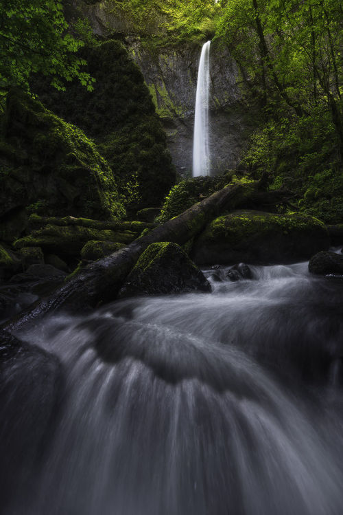 radivs:  Waterfalls by Marcelo Castro  | 500px | Facebook | Google+ 1 | 2 | 3 | 4 | 5 | 6 | 7 | 8 