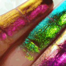 sensoryserenity:Multi-Chrome Makeup | @chaosmakeup on Instagram