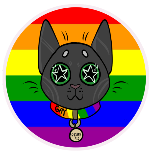 LGBT PRIDE CAT STICKERS -GAY, LESBIAN, BISEXUAL, PANSEXUAL, TRANSGENDER, NONBINARY + ASEXUAL DESIGNS