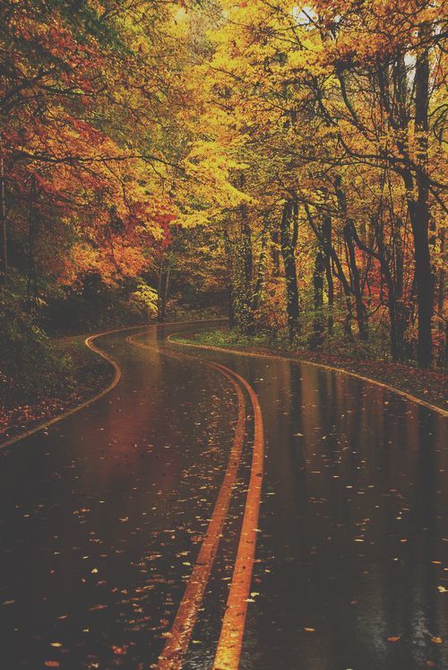 therussianrevolver:  The Seasons, Autumn My favorite season. Chilly enough to wear