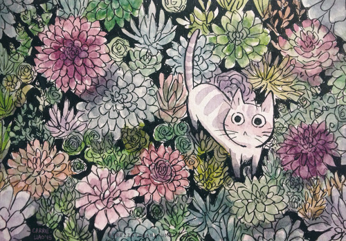 sprezzaturan:Succulent Kitty (now with more accurate colors)