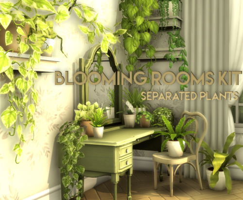 Blooming Rooms Kit Separated Plants