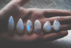 tuaari:  moonstone ☾