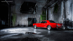 carpr0n:  Starring: ‘65 Ford Mustang by Dejan Marinkovic 