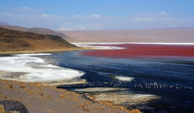 Laguna Colorado ligt op een hoogte van 4200m hoogte in het zuidwesten van de Altiplano in zuidwest Bolivia. Het is een groot maar ondiep zoutmeer en is de grootste broedplaats van flamingo’s in Zuid-Amerika. De rode kleur van het water ontstaat door...