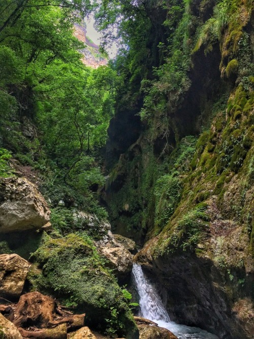 predictablytypical:Amalfi coat forest hike, mind blowing, tears.