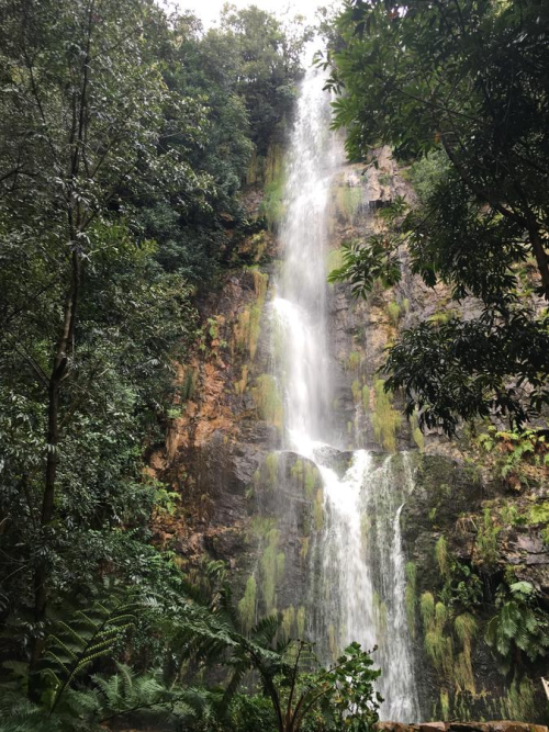 Sdafrika 2019 - Teil 4