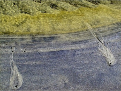 Sand formation and tidepool, Tybee Island, GeorgiaSal Lopes