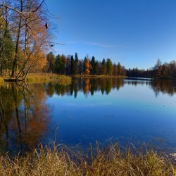 #now #nature #nofilter #walk #photowalk #photorussia #Gatchina #park #landscape #lake #Гатчина #Россия