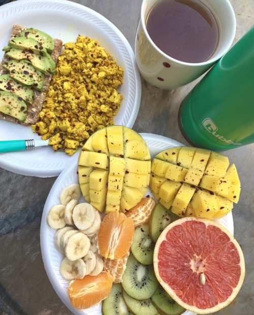 veganhelena: Good morning everyone, check out my bright breakfast! source