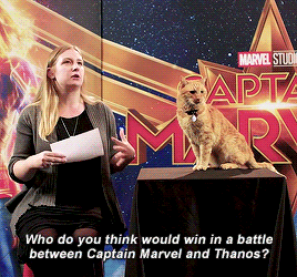 dailymarvelheroes:An interview with one of the stars of Captain Marvel - Reggie the Cat!