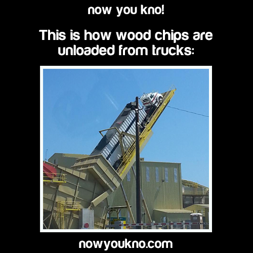 wandererindisguise:  nowyoukno:  Source for more facts like this follow NowYouKno  im mind blown 