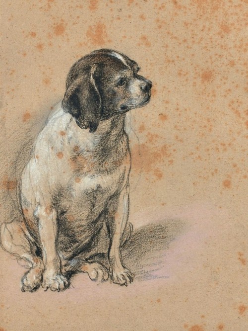 Simon Vouet (1590 - 1649), Portrait of a Seated Dog, black and white chalk, pastel strokes, Artcuria