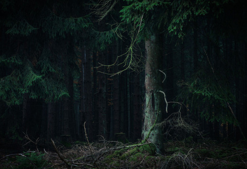 90377:Untitled by Alex Wesche