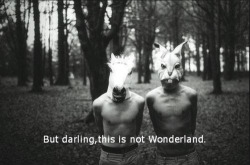 ♡b&amp;w blog message me if you need anything♡