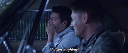 holy-spn: I love their dynamic and humour