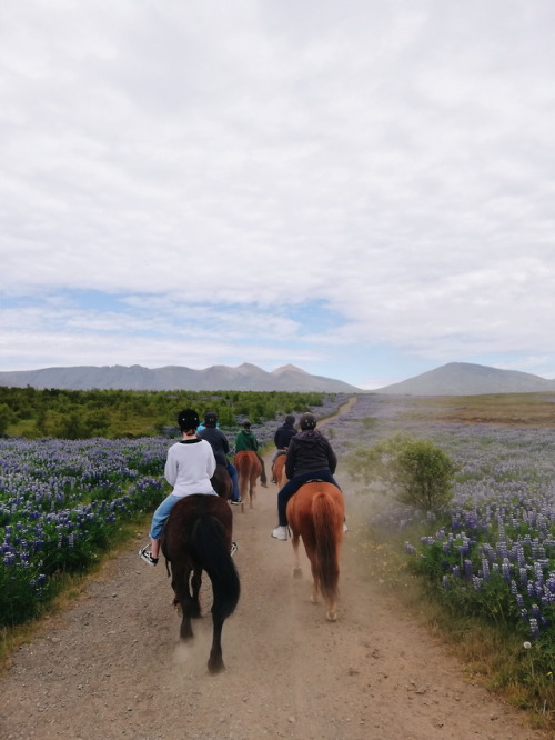 thecornercoffeeshop: There is no place as wild and magical and utterly gorgeous as Iceland.