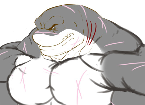 Tryin To Draw My 1st Shark @manlyshark And Doing Decently So Far, Im Excited!Gonna Add Armor And All