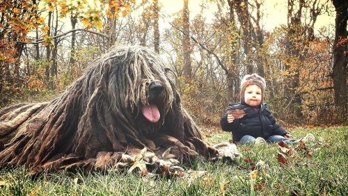 tumblr photo dudebronews 0