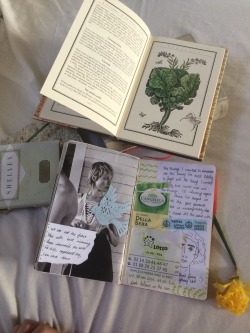 goghflora:  more photos of my journal and books….. typical 