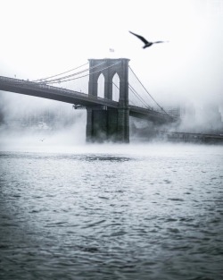 newyorkcityfeelings:Brooklyn Bridge by Paul