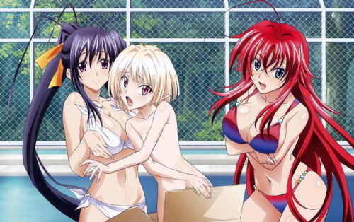 Porn Pics High School DxD New Visual Collection Vol.2