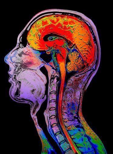 Take the Time to Expand Your Mind