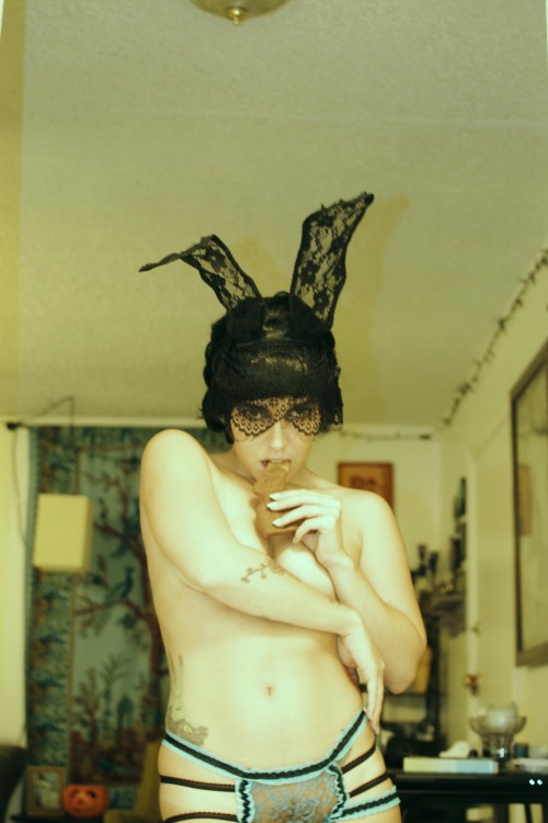 vincentvangonads:Funny bunny