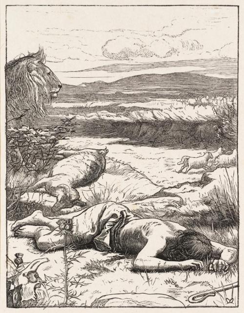 The Good Shepherd, John Everett Millais, 1864, TatePresented by Gilbert Dalziel 1924Size: image: 140