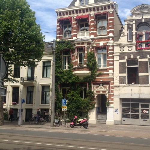 plantity:  Taken In Amsterdam, Netherlands  Please don’t remove source, lovelies.