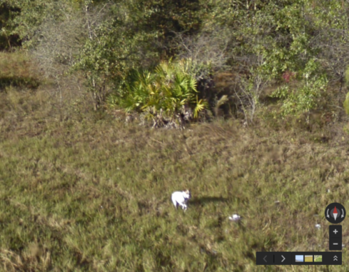 Lee, Florida, United States (30°19'19.8545&quot;N, 83°20'9.2342&quot;W)