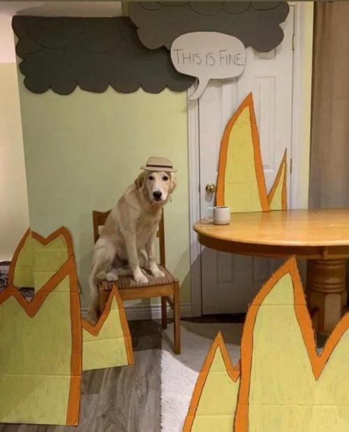 everythingfox: This is fine(via)