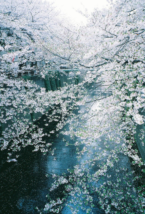 vacants:  000030 (by shinpson) 