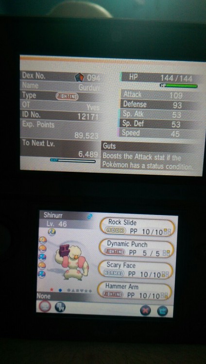 First shiny I encounter since Sapphire is this little beauty! Yes, I named him Shinurr… Big whoop, wanna fight about it?