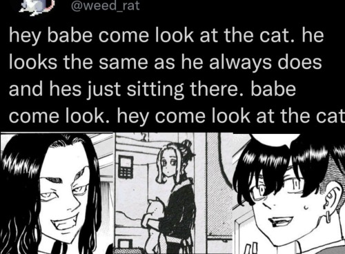 Hc The Three Of Them Are Constantly Getting Excited Over Cat's And Asking You To Come Look